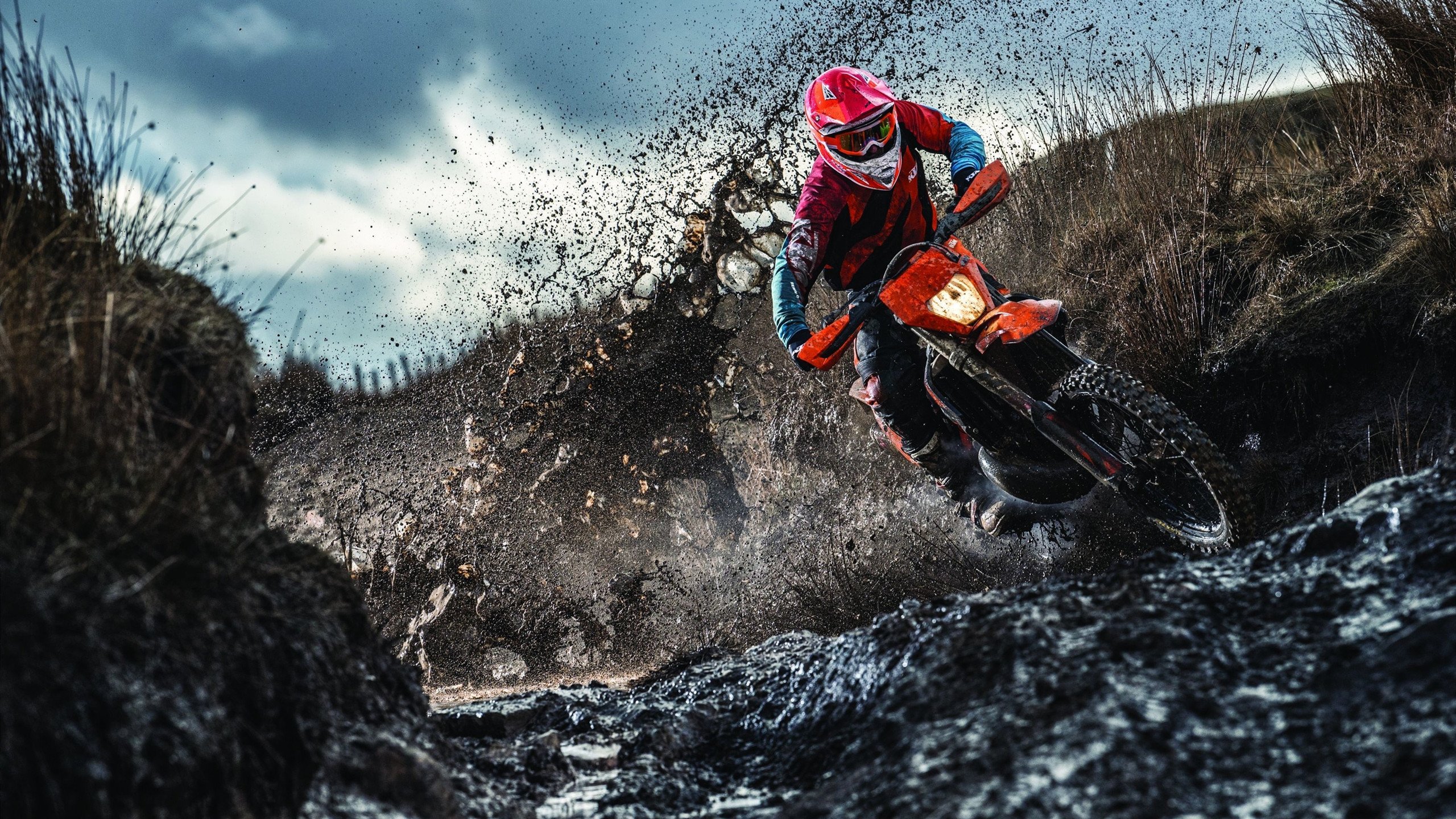 _雄鹿字母哥再度三双，带队取胜_，雄鹿字母哥打什么位置